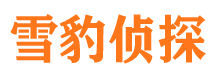 日照市场调查